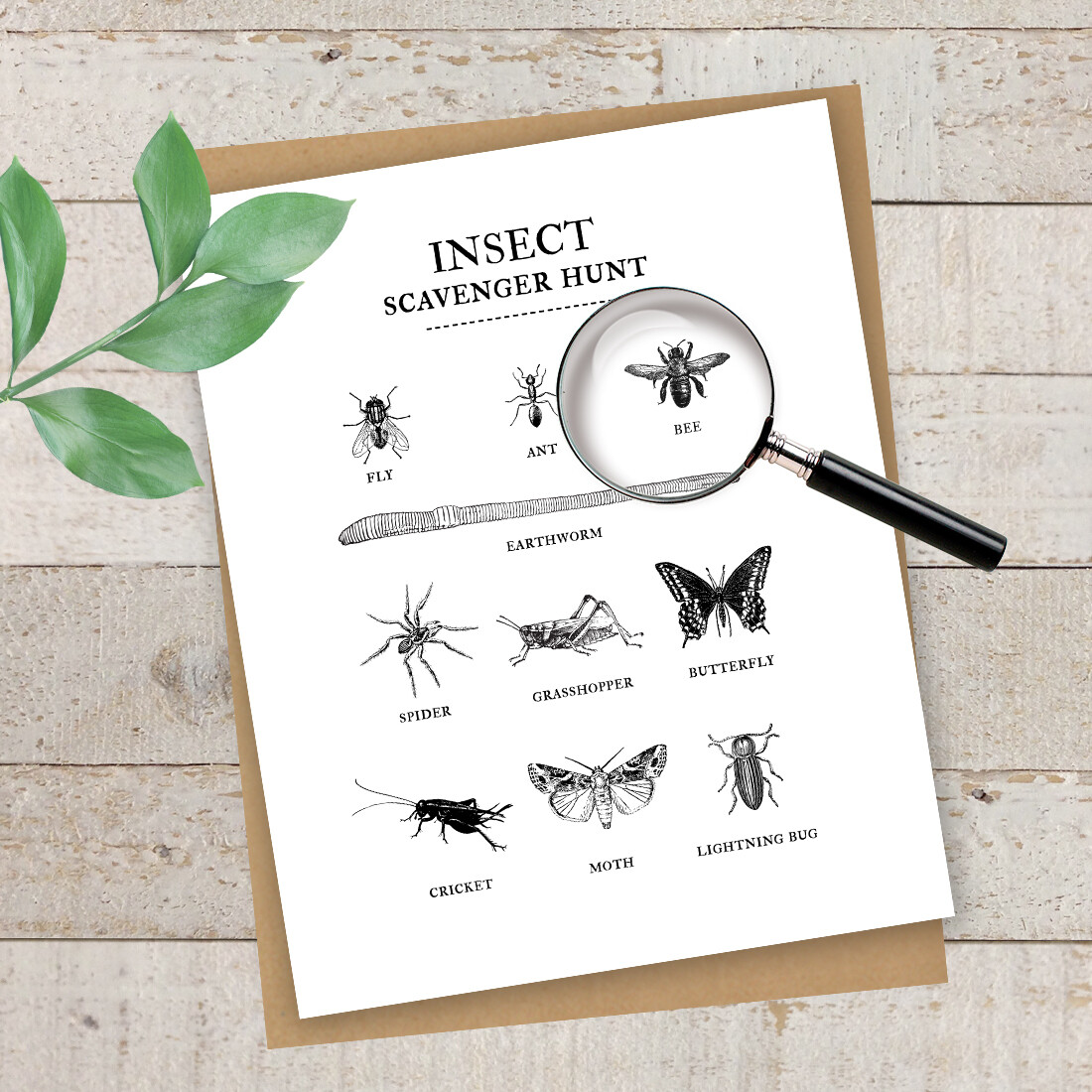 Summertime Fun Series- Insect Scavenger Hunt Free Printable Summertime Fun Series- Insect Scavenger Hunt Free Printable