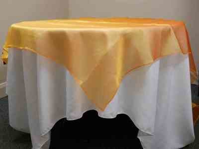 Organza Overlay (90 Organza Overlay (90