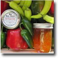Spicy Flavors
