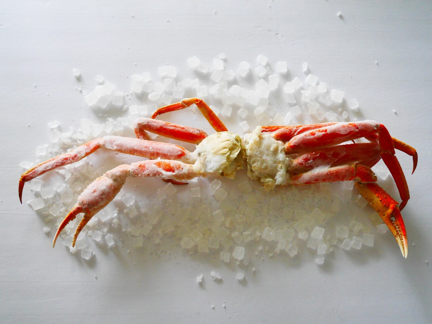 Frozen Opillio Snow Crab (Bering Sea) Frozen Opillio Snow Crab (Bering Sea)