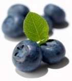 D'Olivo Blueberry Balsamic Condimento D'Olivo Blueberry Balsamic Condimento