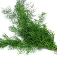 D'Olivo Fernleaf Dill Olive Oil D'Olivo Fernleaf Dill Olive Oil