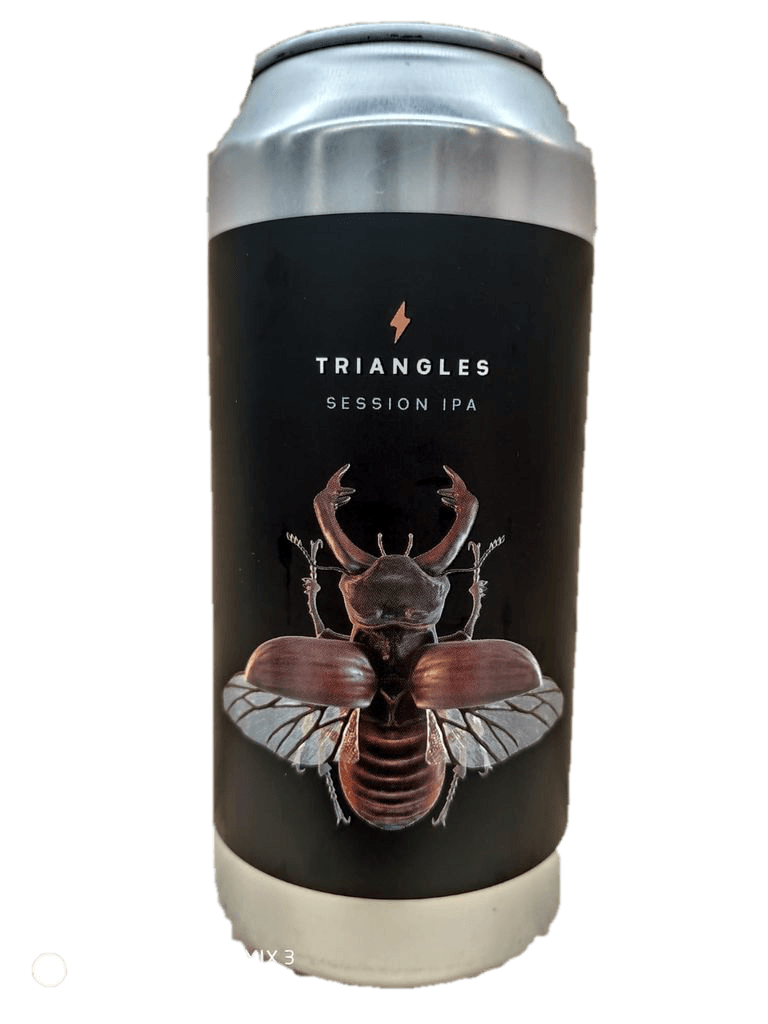 Cerveza Garage Triangles 44 cl. - Birrak