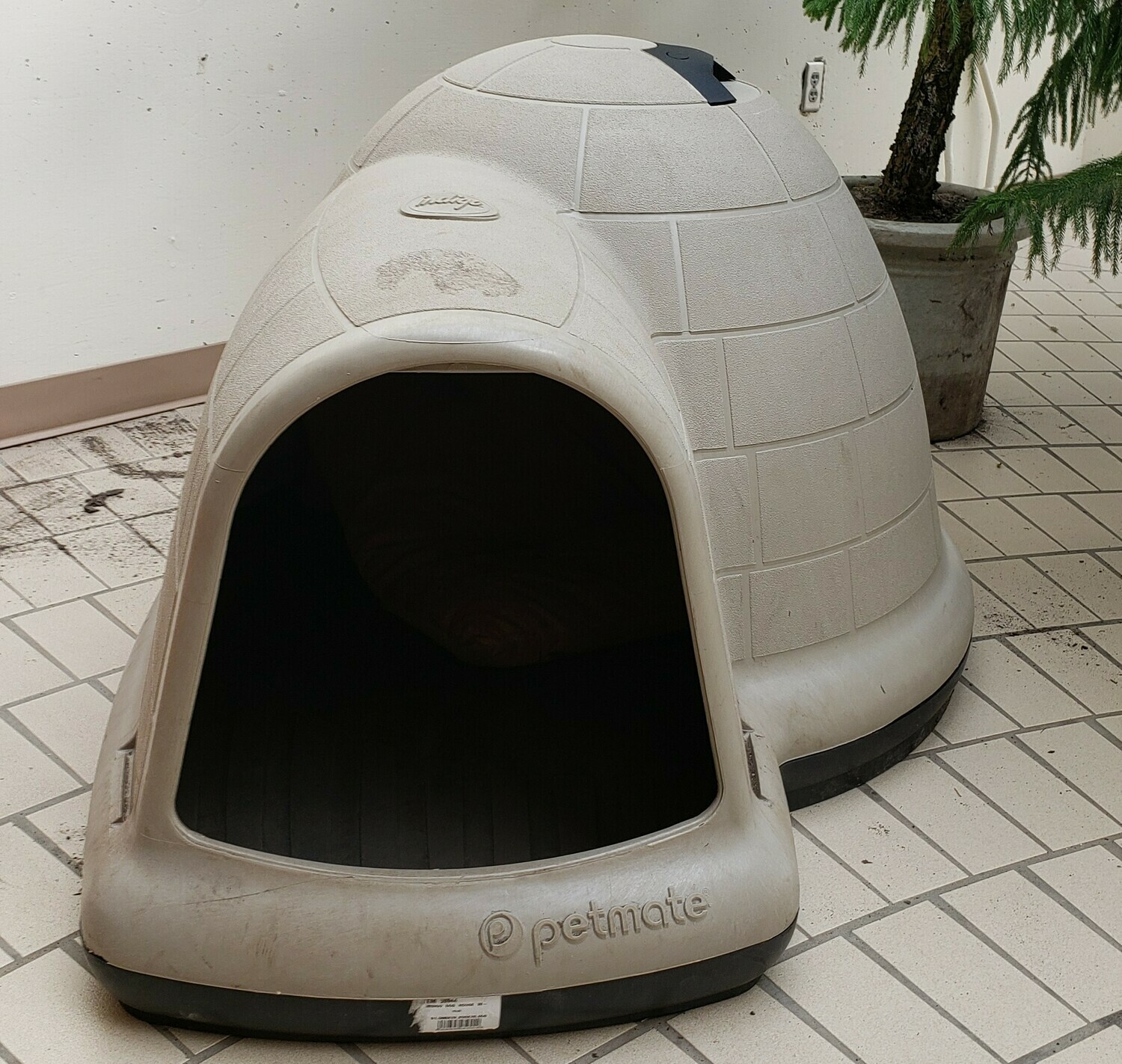 Dog Outdoor Igloo at Lawrence Sheetz blog