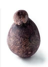 Caciotto aged in Red Aglianico wine 100g Caciotto aged in Red Aglianico wine 100g