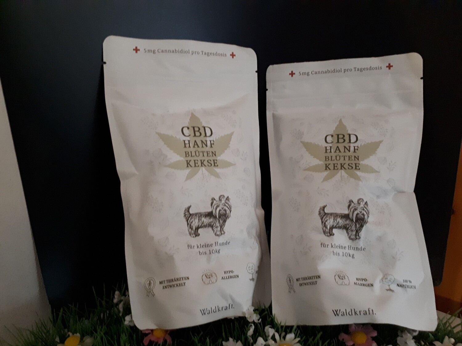 CBD-Hundekekse für kleine Hunde CBD-Hundekekse für kleine Hunde