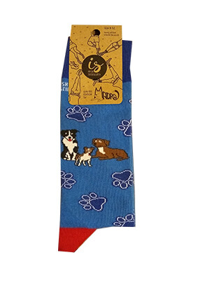 Socks Socks