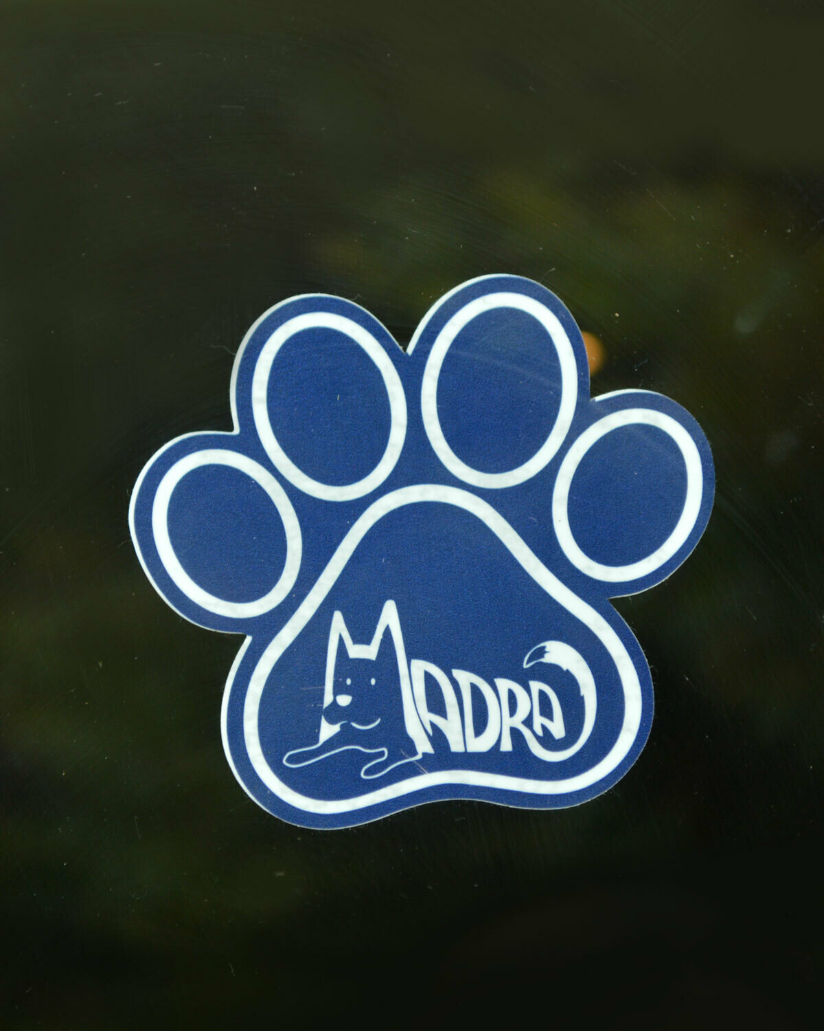 Window Decal Window Decal