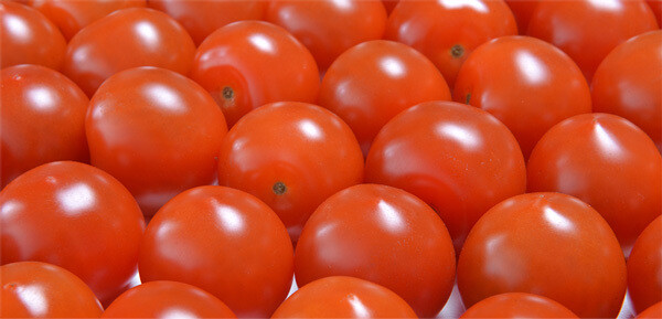 Canadian Greenhouse Cherry Tomatoes (pint) Canadian Greenhouse Cherry Tomatoes (pint)