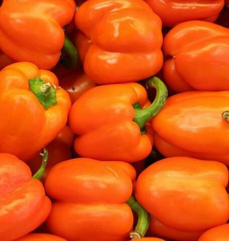 Orange Bell Peppers Orange Bell Peppers