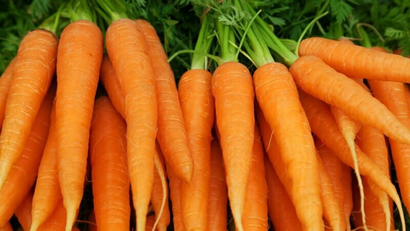 1 lb Bag of whole Carrots 1 lb Bag of whole Carrots