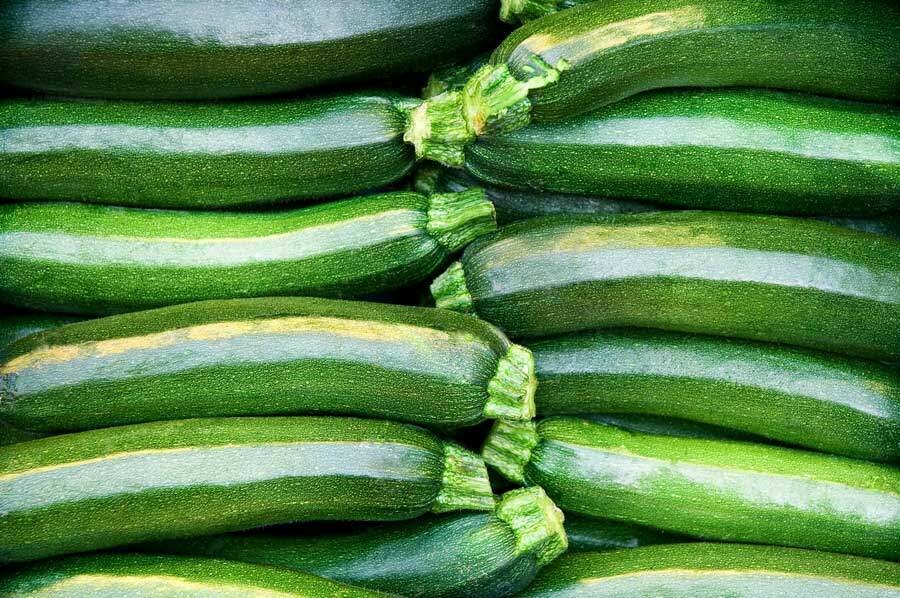 Jersey Green Zucchini Jersey Green Zucchini