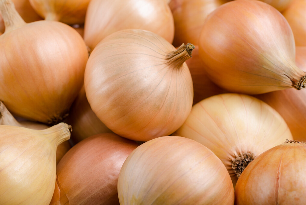 Sweet Onions Sweet Onions