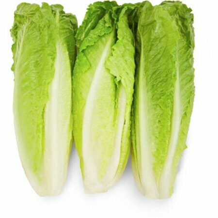 Romaine Hearts (bag of 3) Romaine Hearts (bag of 3)