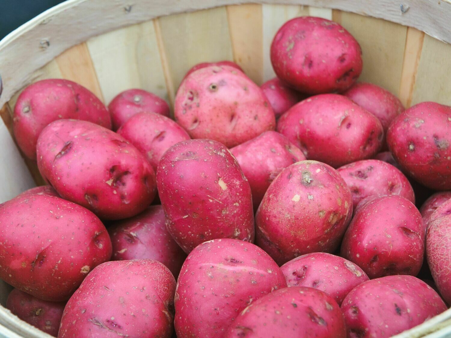 Red Potatoes Red Potatoes