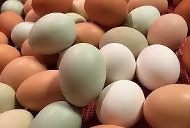 Farm Fresh Eggs Farm Fresh Eggs