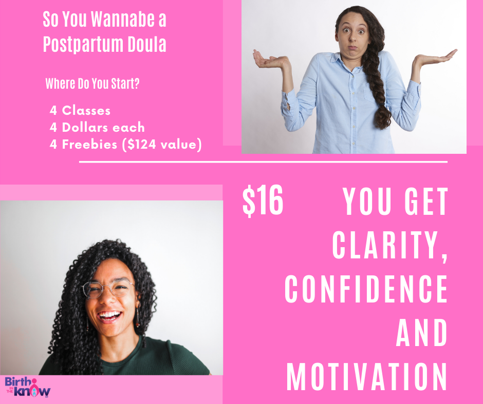 So You Wannabe a Postpartum Doula So You Wannabe a Postpartum Doula