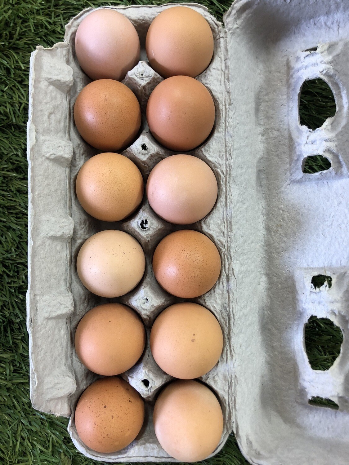 Farm Fresh Eggs, NJ local Farm Fresh Eggs, NJ local