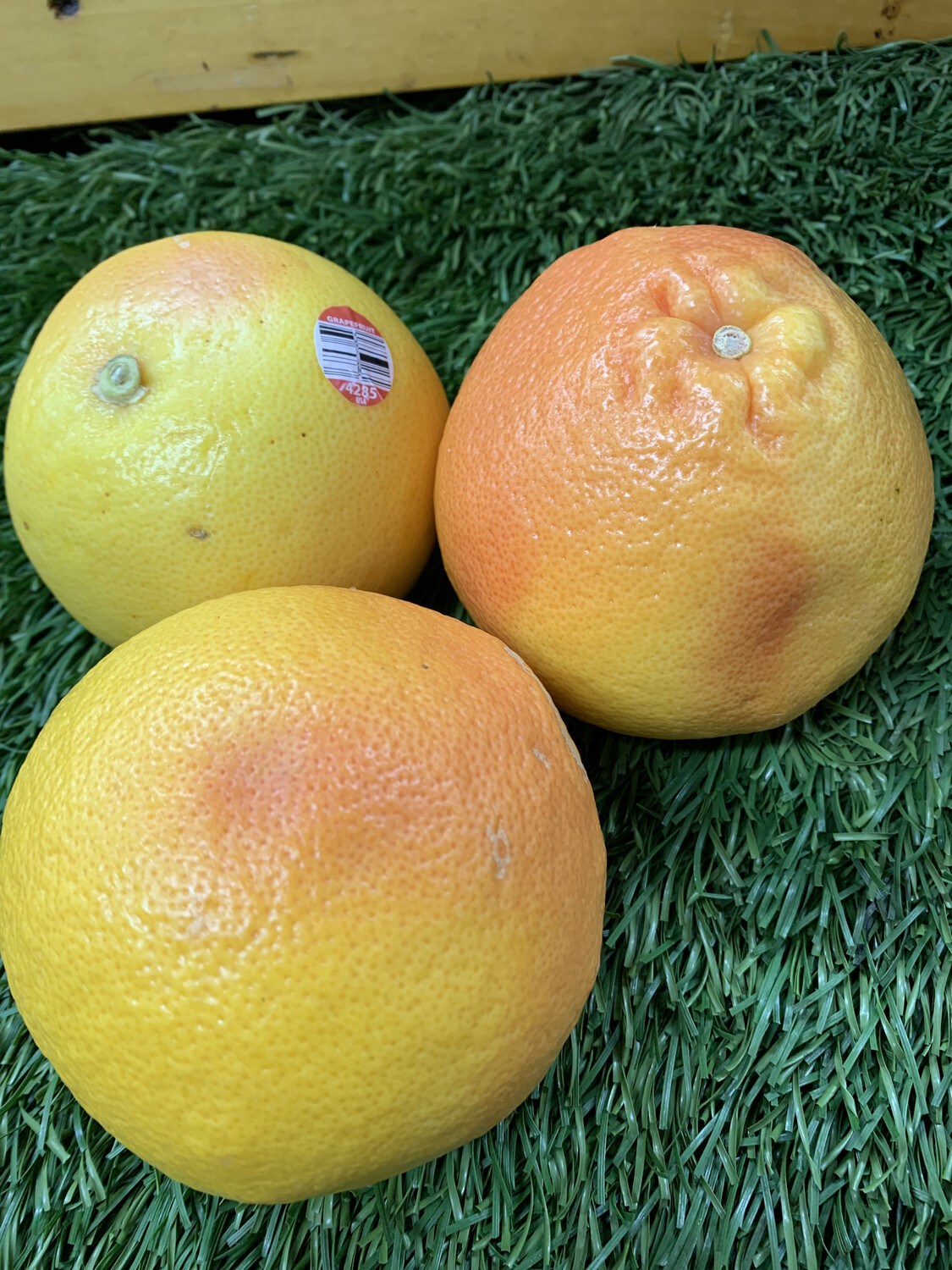 Small Ruby Red Grapefruit Small Ruby Red Grapefruit