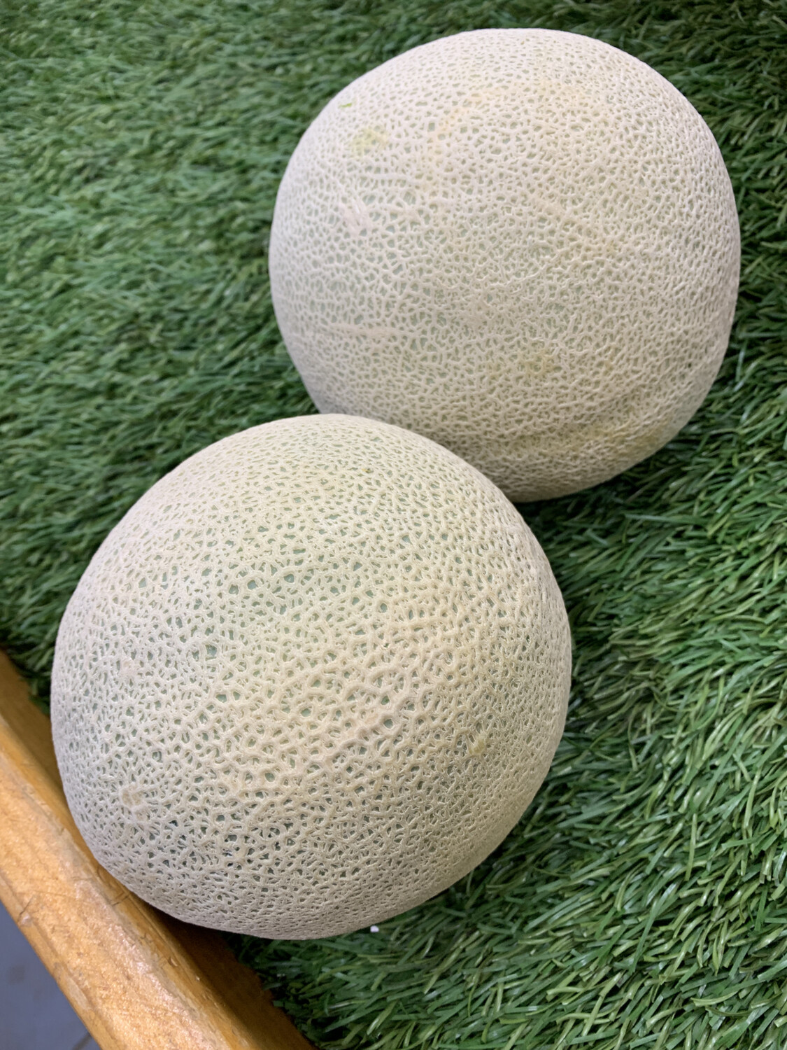 Melon-Cantaloupe, Large Melon-Cantaloupe, Large