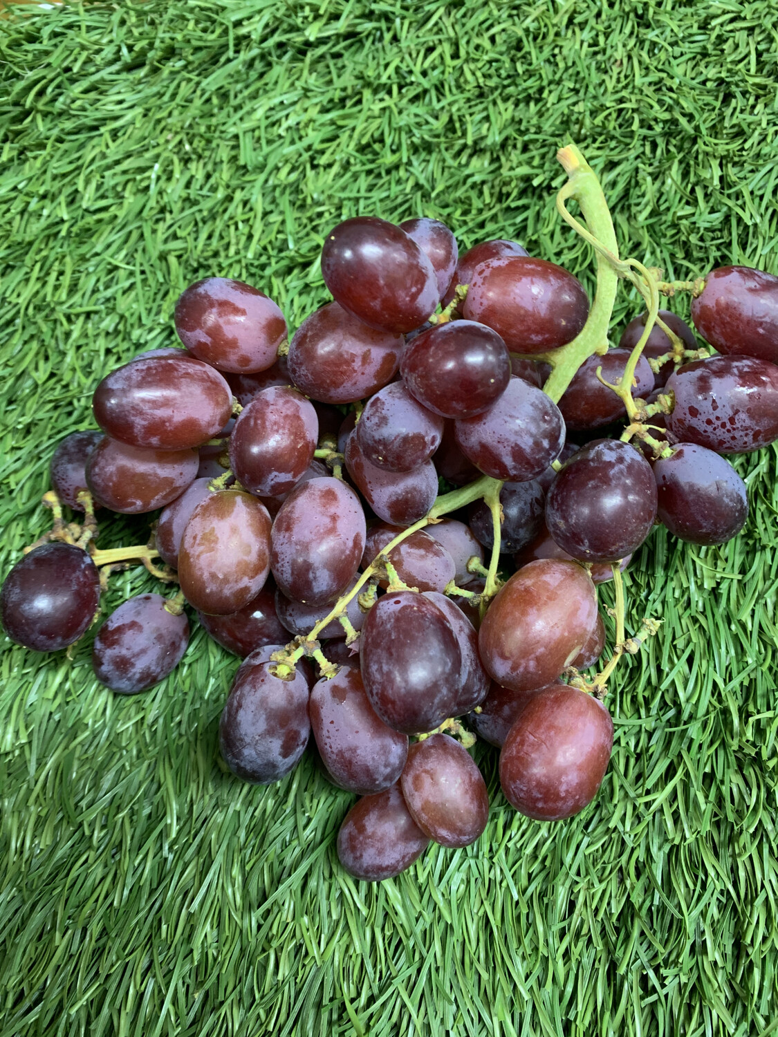 Grapes Grapes