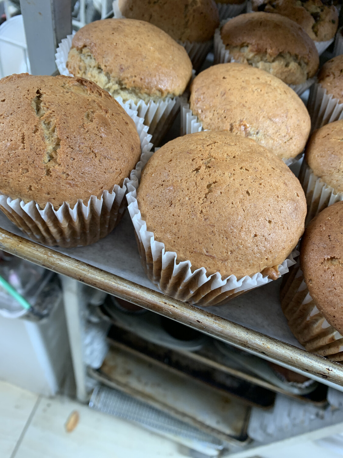 Muffin-Banana Muffin-Banana