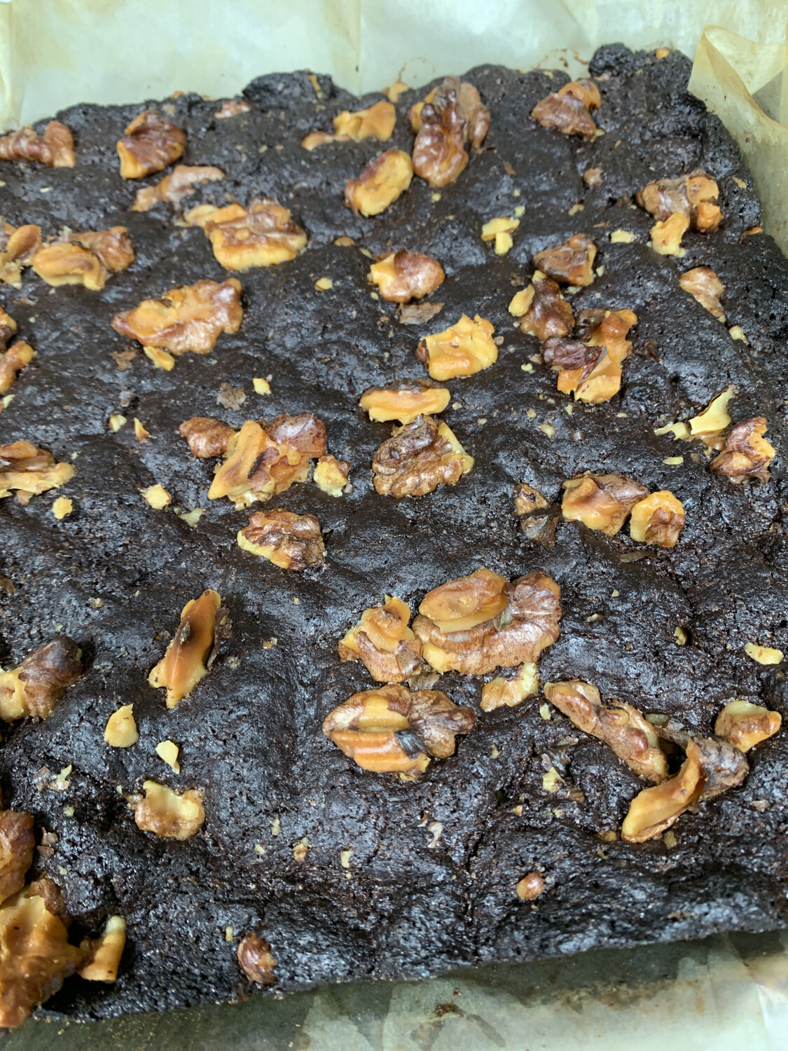 Brownie-Walnut Brownie-Walnut