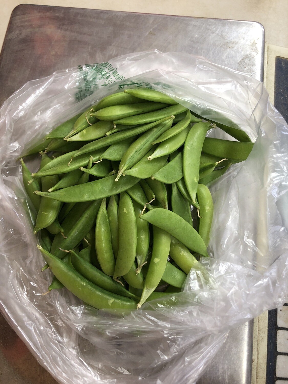 Sugar Snap Peas, Jersey Fresh Sugar Snap Peas, Jersey Fresh