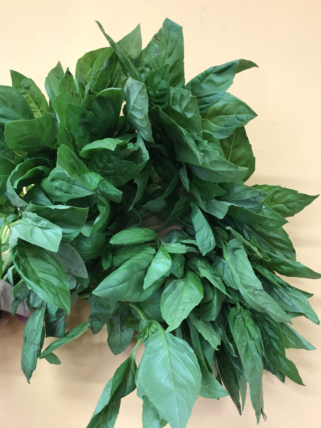Herbs-Basil - Bunch Herbs-Basil - Bunch
