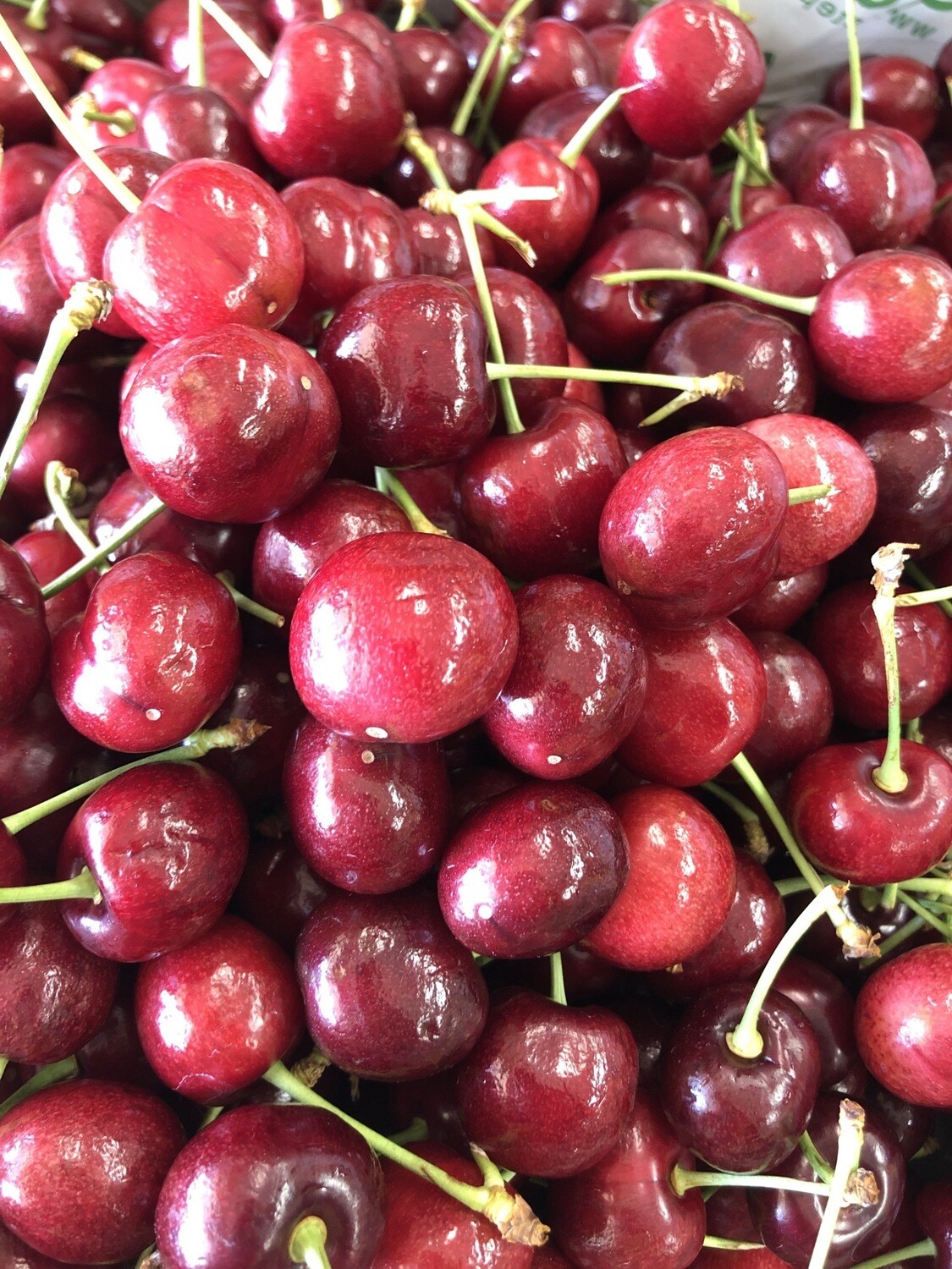 Cherries - Red Cherries - Red