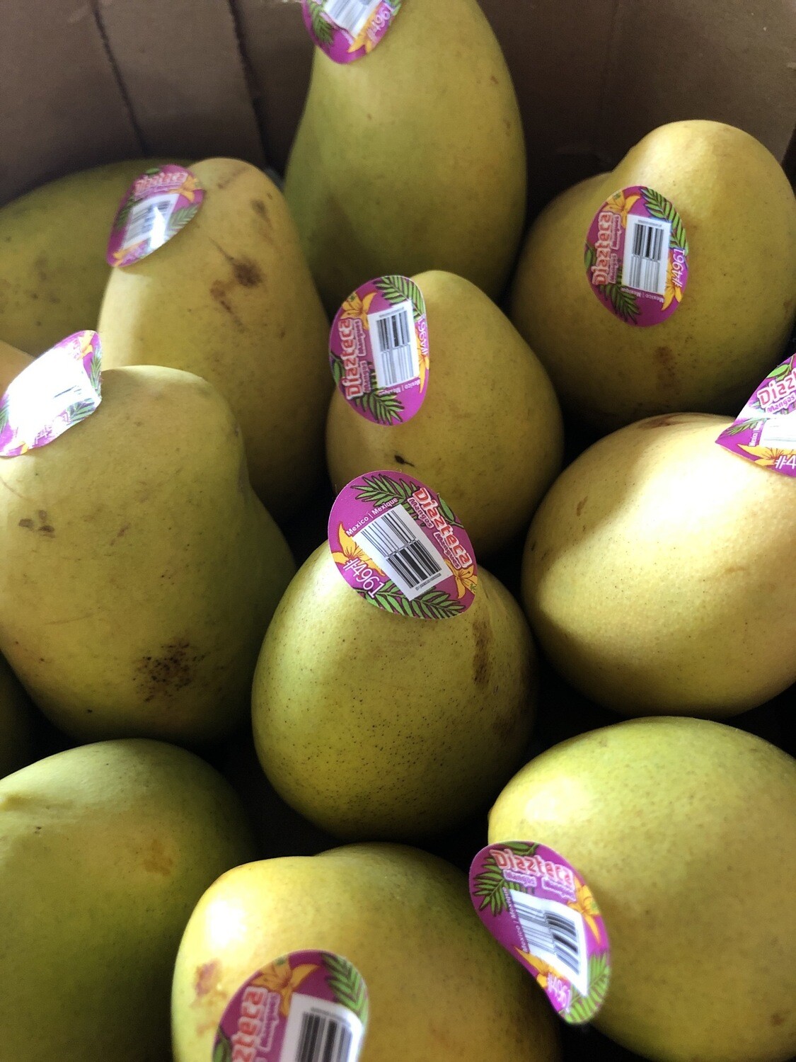 Mangoes - Champagne Mangoes - Champagne
