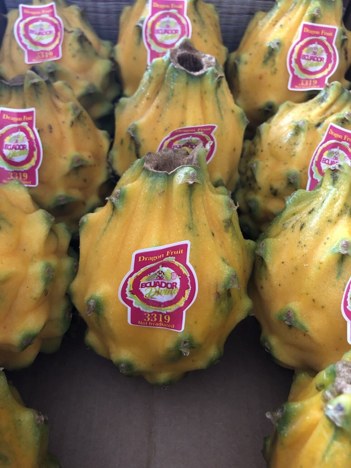 Dragonfruit Dragonfruit