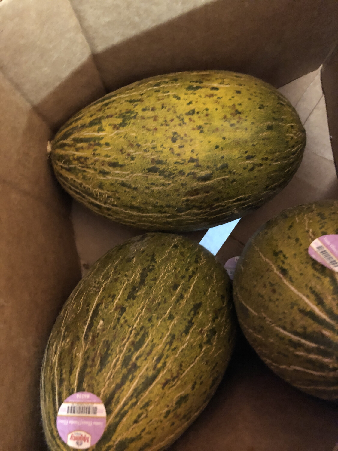 Melon - Santa Claus Melon - Santa Claus