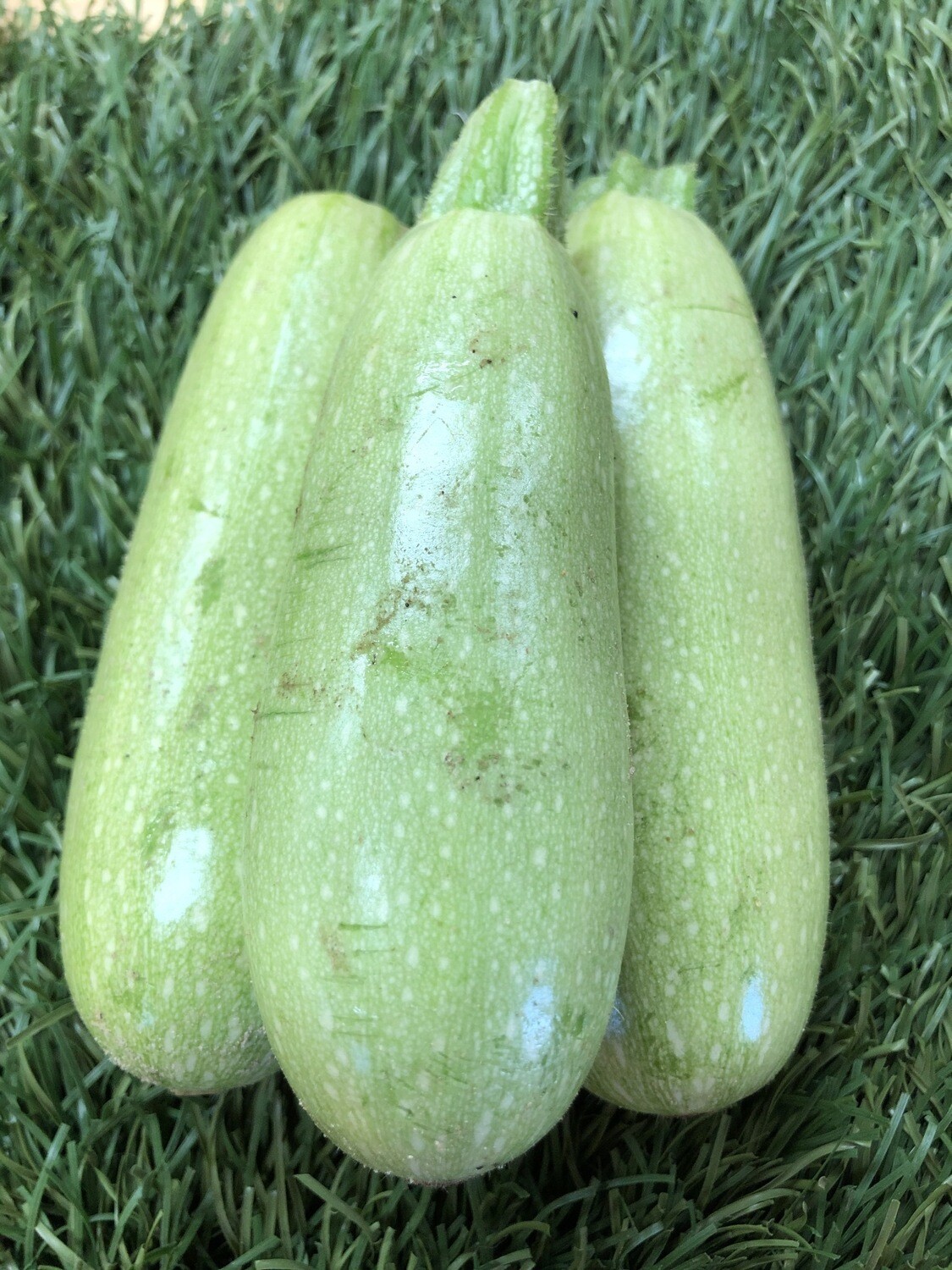 Zucchini - Light Green, 1lb Zucchini - Light Green, 1lb