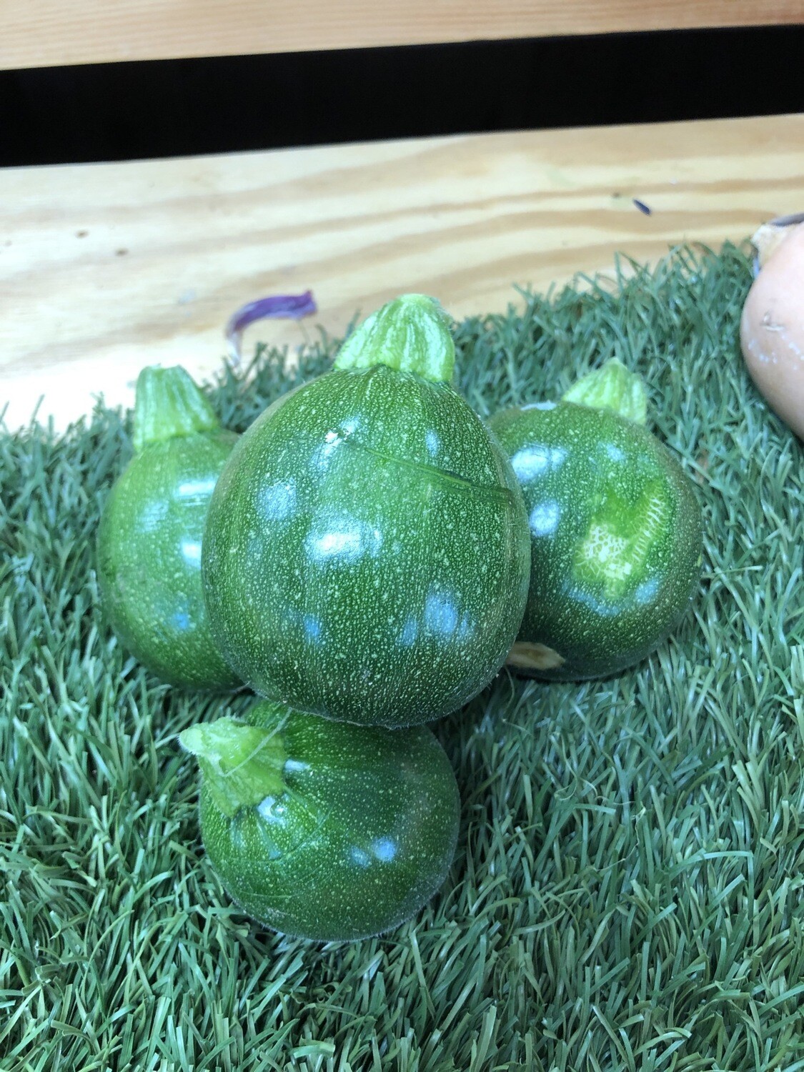 Zucchini- 8-ball, 1lb, Hlubik's Zucchini- 8-ball, 1lb, Hlubik's