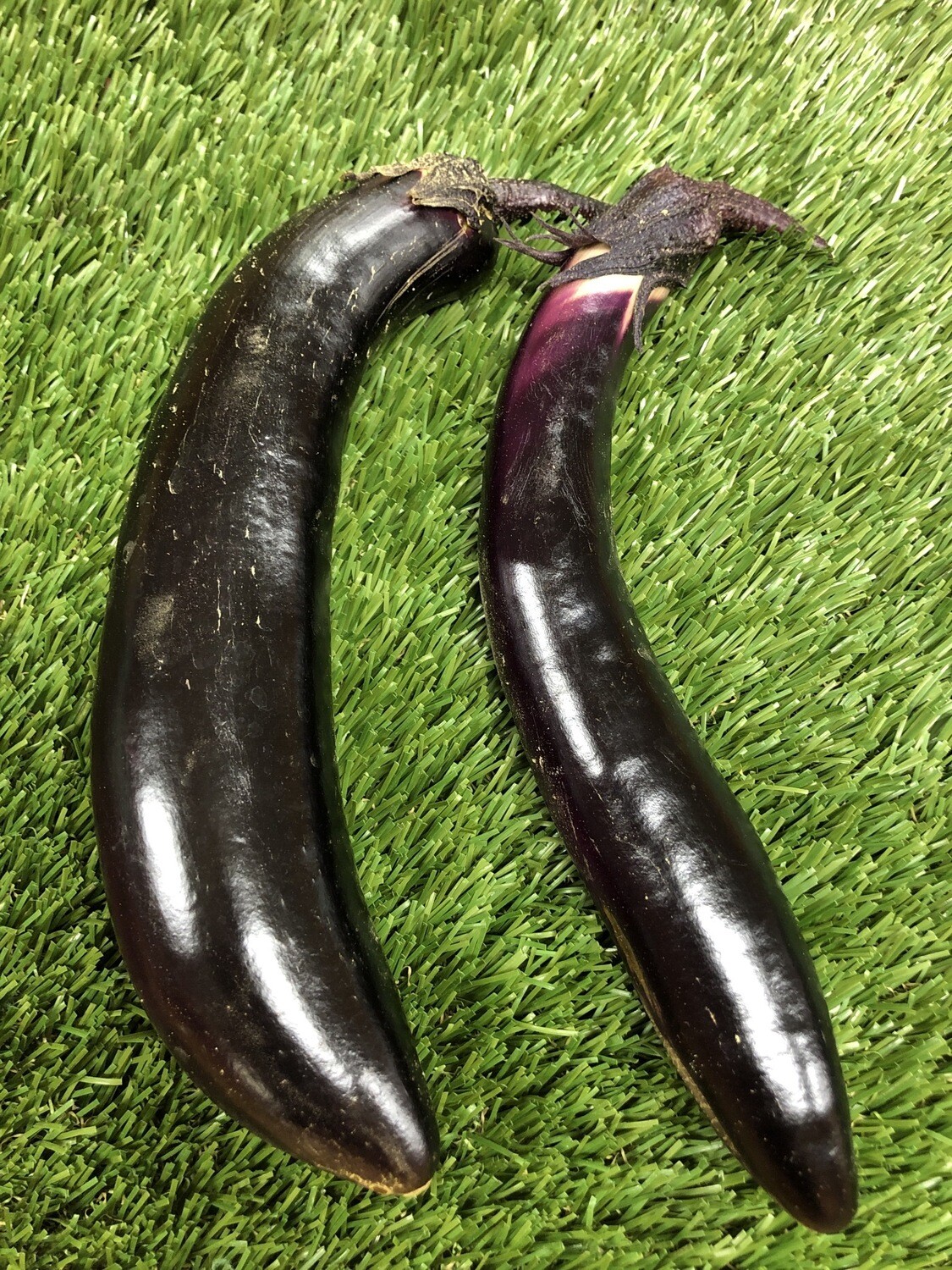 Eggplant - Skinny Italian, Hlubik's Eggplant - Skinny Italian, Hlubik's
