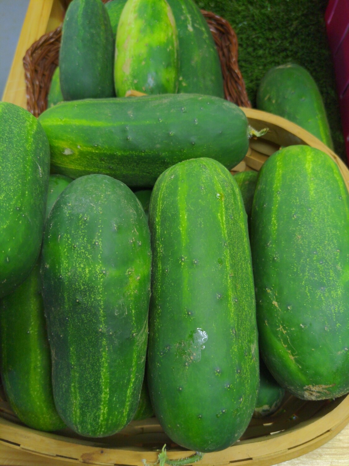 Cucumber, Kirby, Hlubik's Cucumber, Kirby, Hlubik's