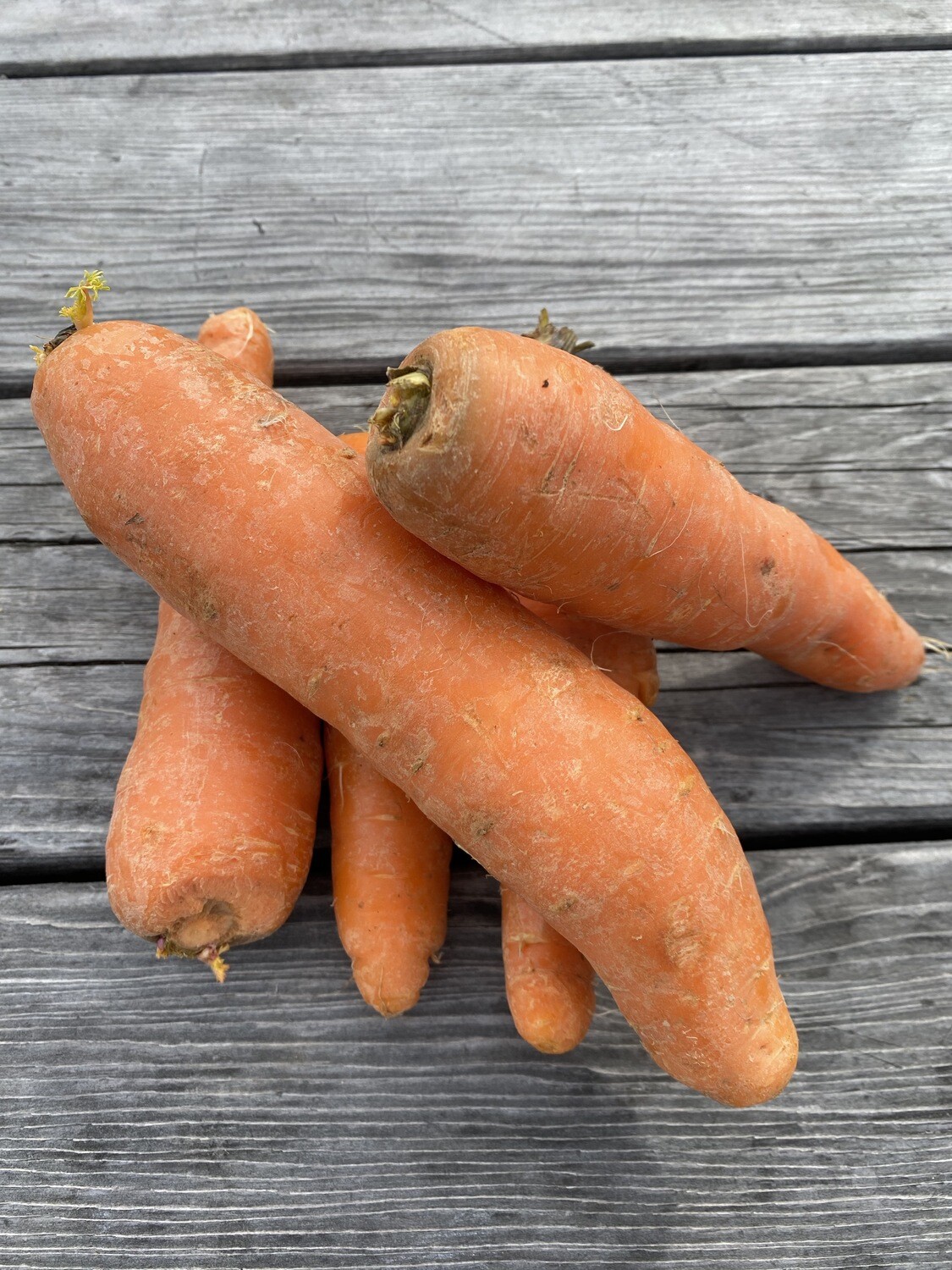 Carrots | 1lb | Tangerini’s Own Carrots | 1lb | Tangerini’s Own