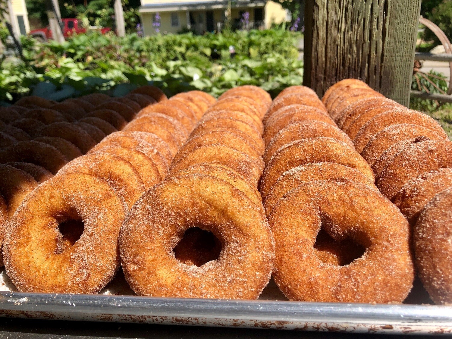 FP Cider Donuts | 6 Count FP Cider Donuts | 6 Count