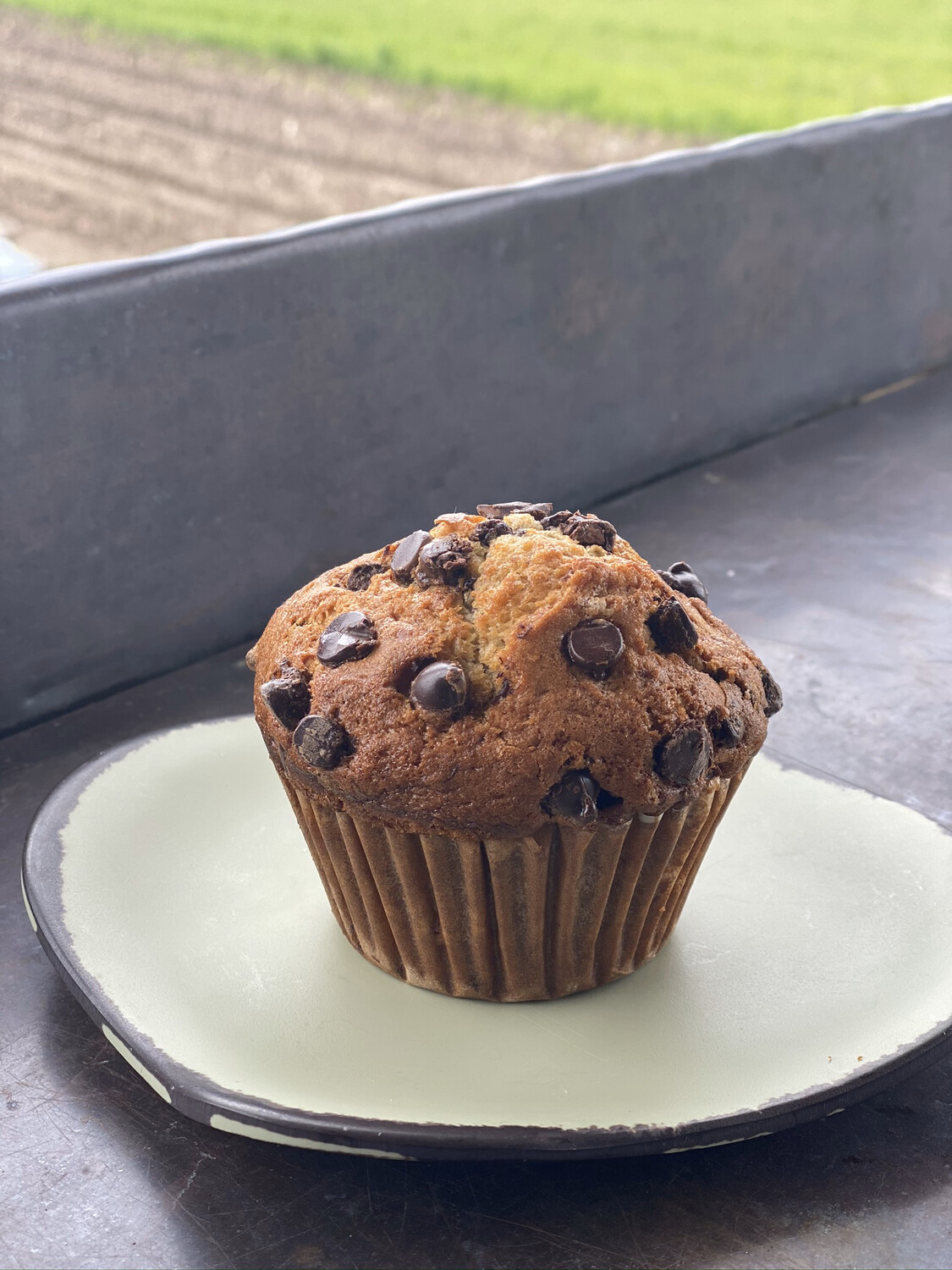 FP Banana Chocolate Chip Muffins | 4 pack FP Banana Chocolate Chip Muffins | 4 pack