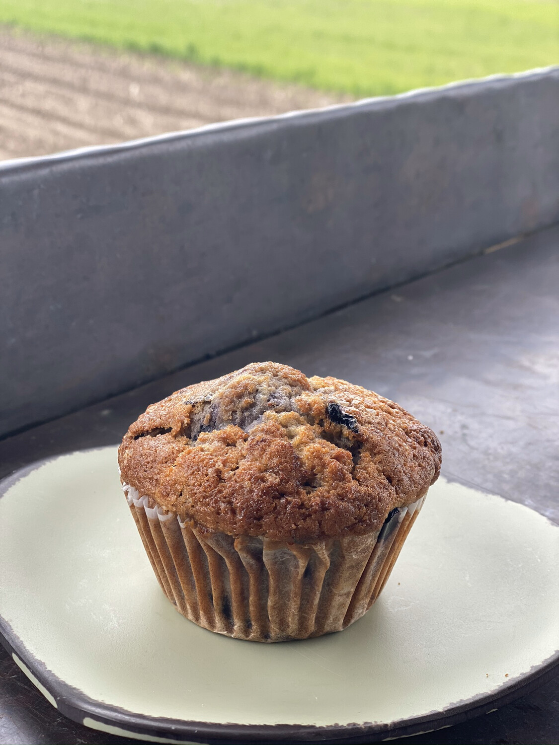 FP Blueberry Muffins | 4 pack FP Blueberry Muffins | 4 pack