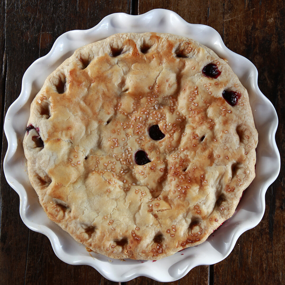 Large Allberry Pie | Centerville Pie Company Large Allberry Pie | Centerville Pie Company