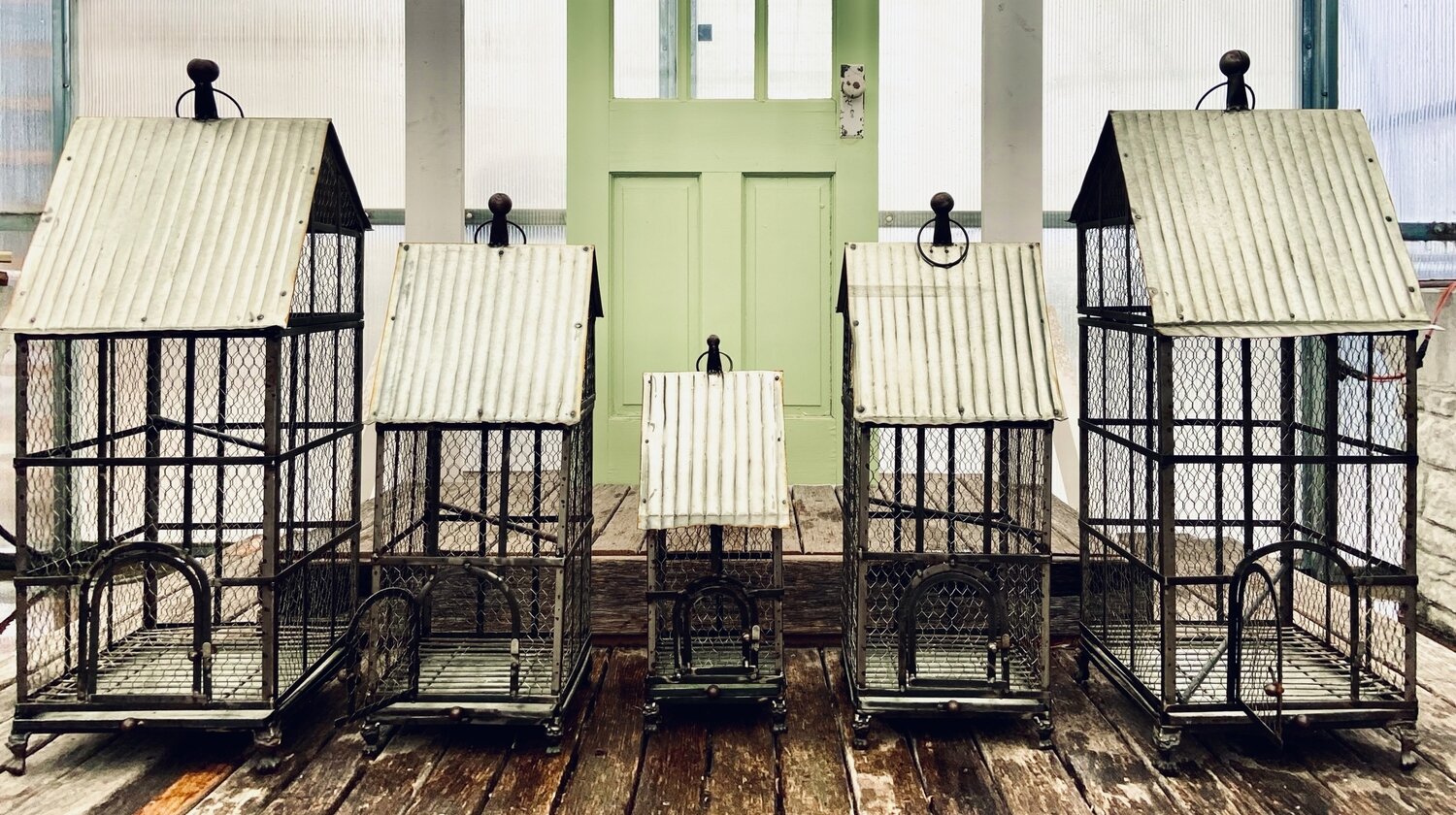 TIN ROOF BIRDCAGE 22.5 TIN ROOF BIRDCAGE 22.5