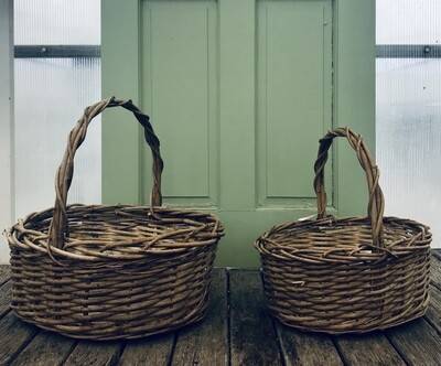Oval Acacia Vine Baskets W/Handle-MED Oval Acacia Vine Baskets W/Handle-MED