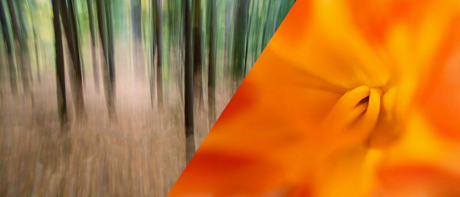 Understanding the Creative Power of Shutter Speeds & Apertures Understanding the Creative Power of Shutter Speeds & Apertures