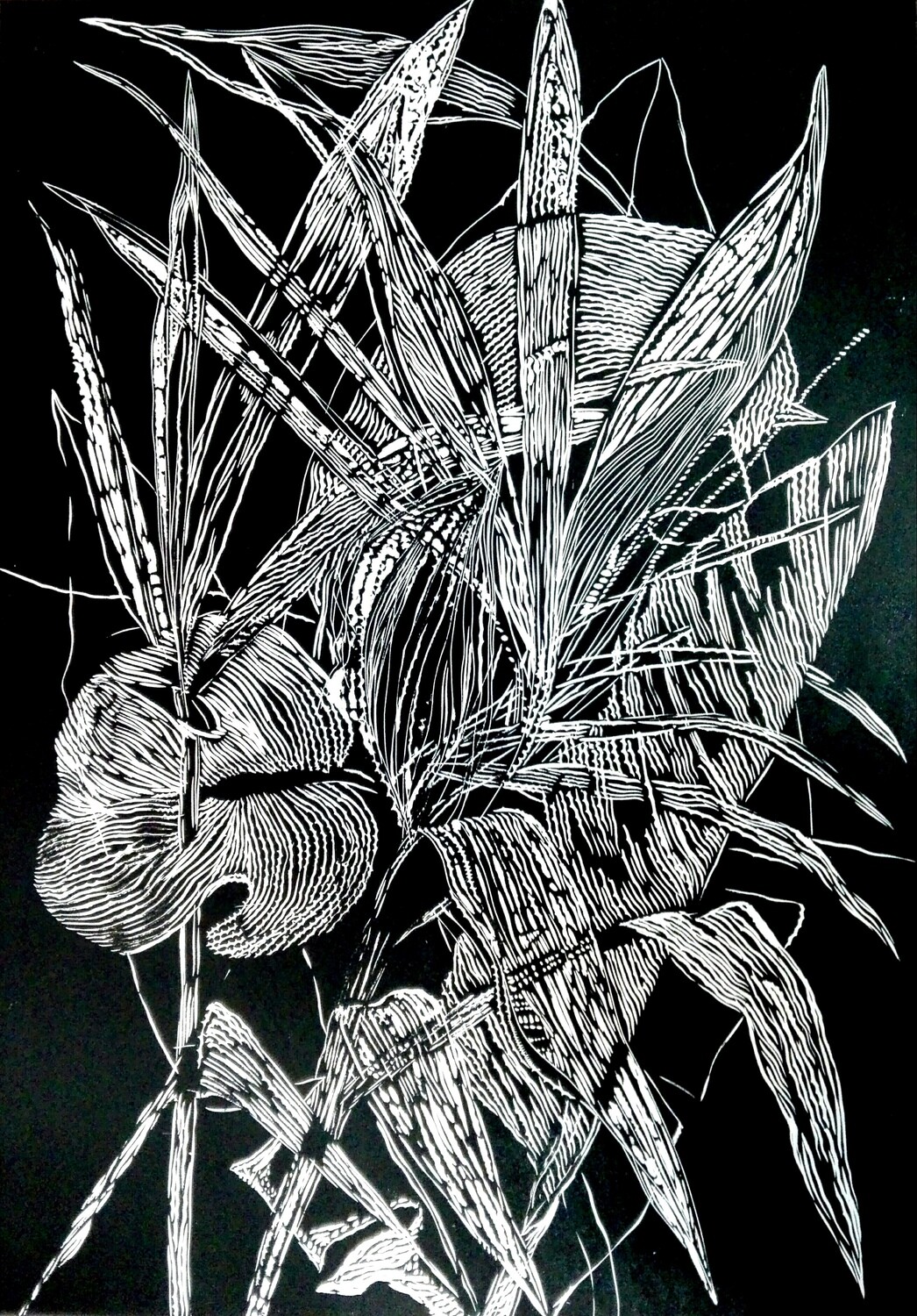 Magda Chmielek, Black Leaves I Magda Chmielek, Black Leaves I