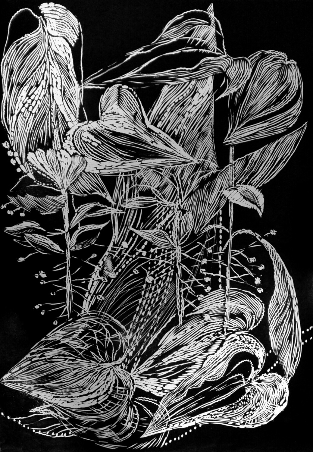Magda Chmielek, Black Leaves IV Magda Chmielek, Black Leaves IV