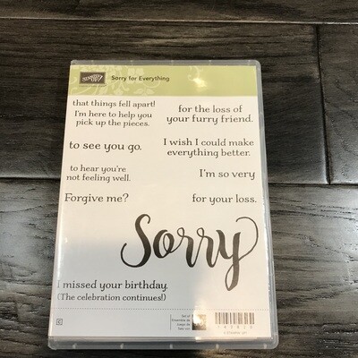 Sorry for Everything Cling Stamp Set Sorry for Everything Cling Stamp Set