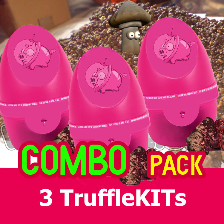PANDORA's Box - COMBO-Pack (3 boxes) PANDORA's Box - COMBO-Pack (3 boxes)
