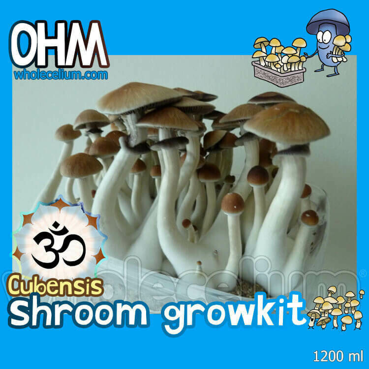 Shrooma 'OHM' komplekt Shrooma 'OHM' komplekt
